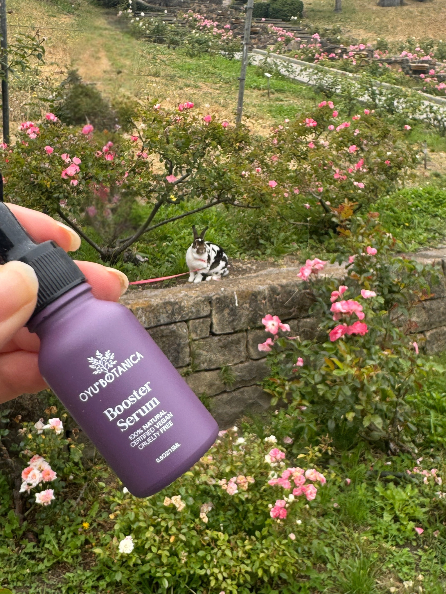 Oyu Botanica Booster Serum – Fragrance-Free, Vegan, for Sensitive Skin