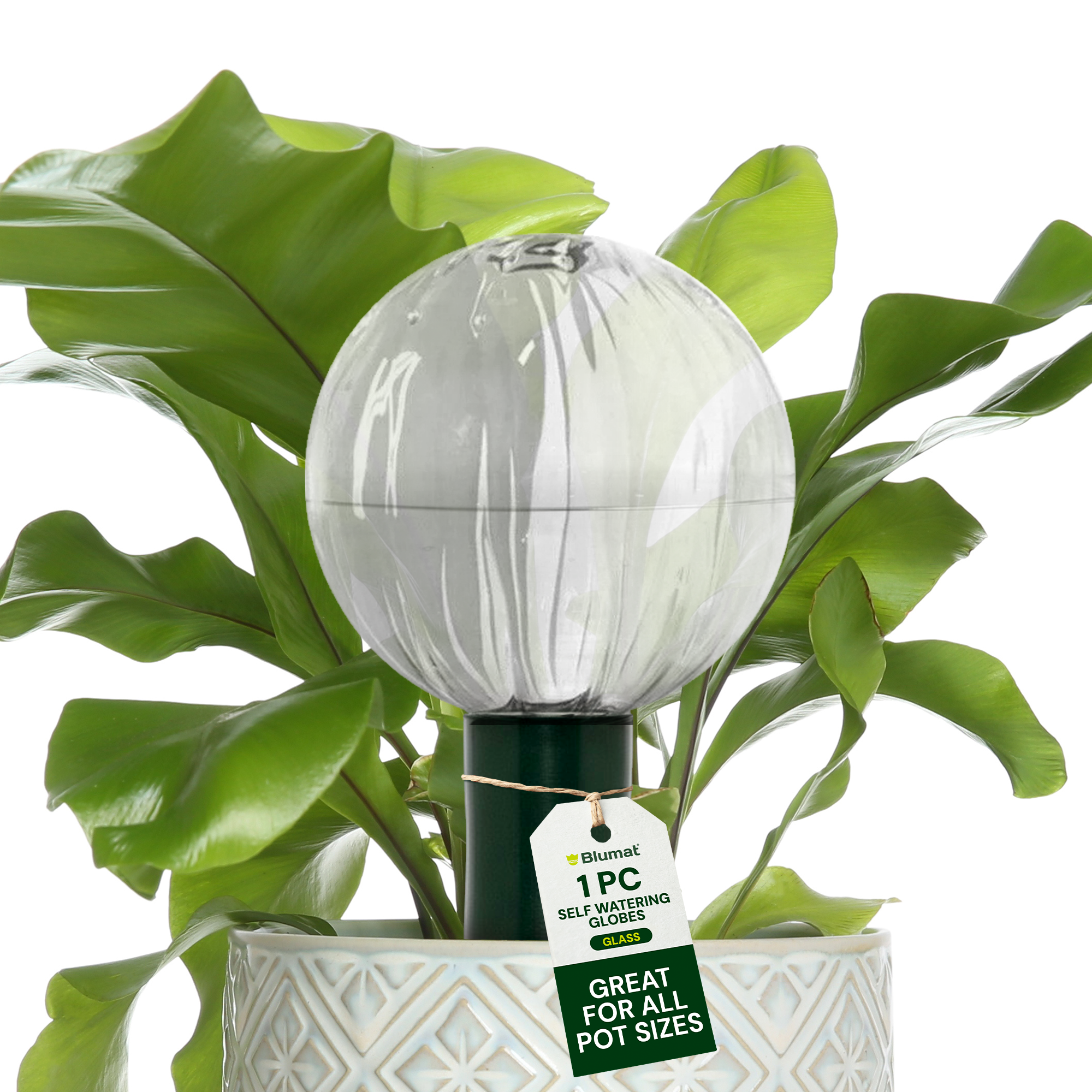 Blumat Glass Plant Self Watering Globes