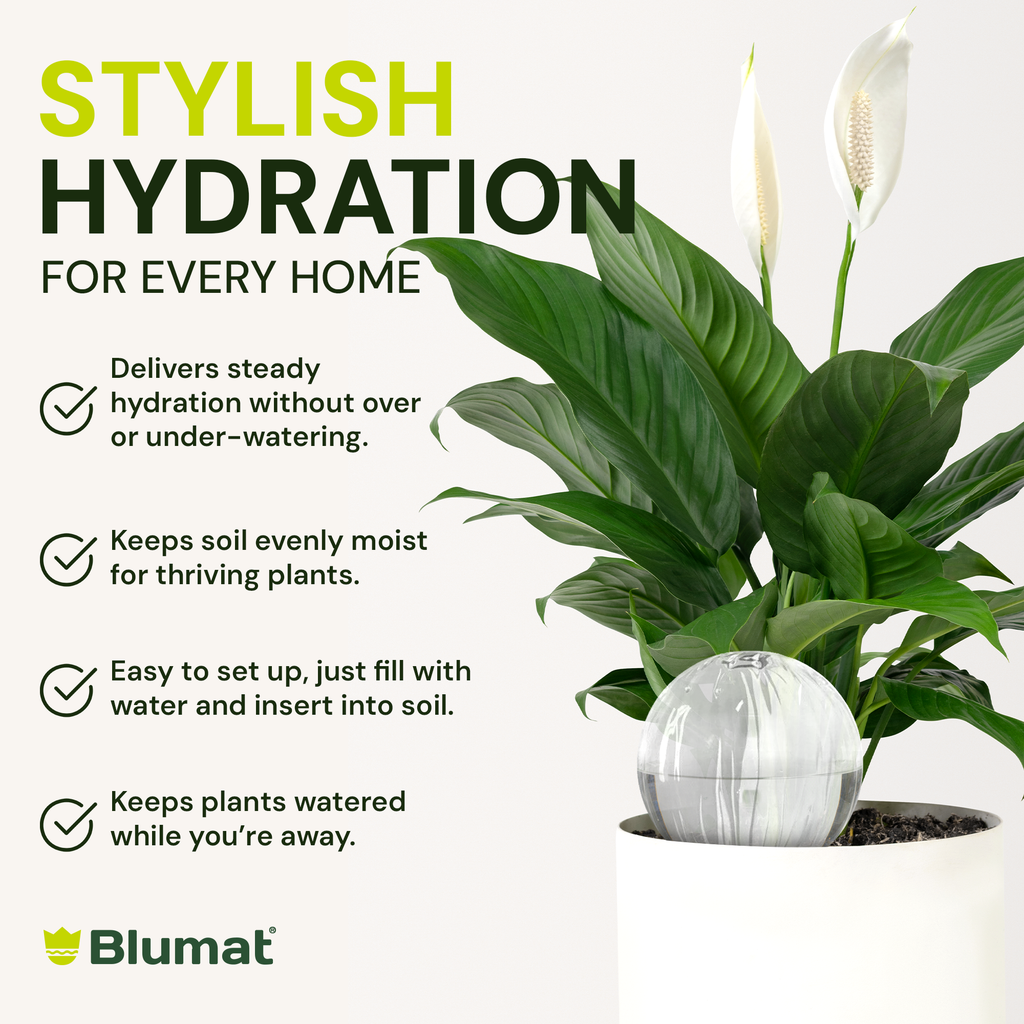Blumat Glass Plant Self Watering Globes