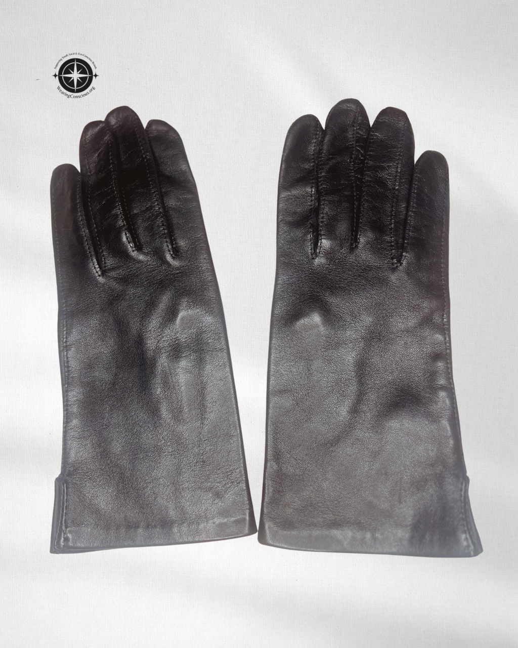 A pair of black leather gloves laid flat on a light gray background, with a circular compass logo in the top-left corner.