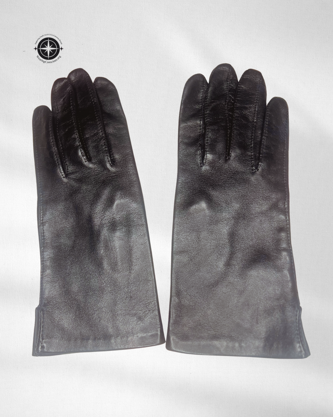 A pair of black leather gloves laid flat on a light gray background, with a circular compass logo in the top-left corner.