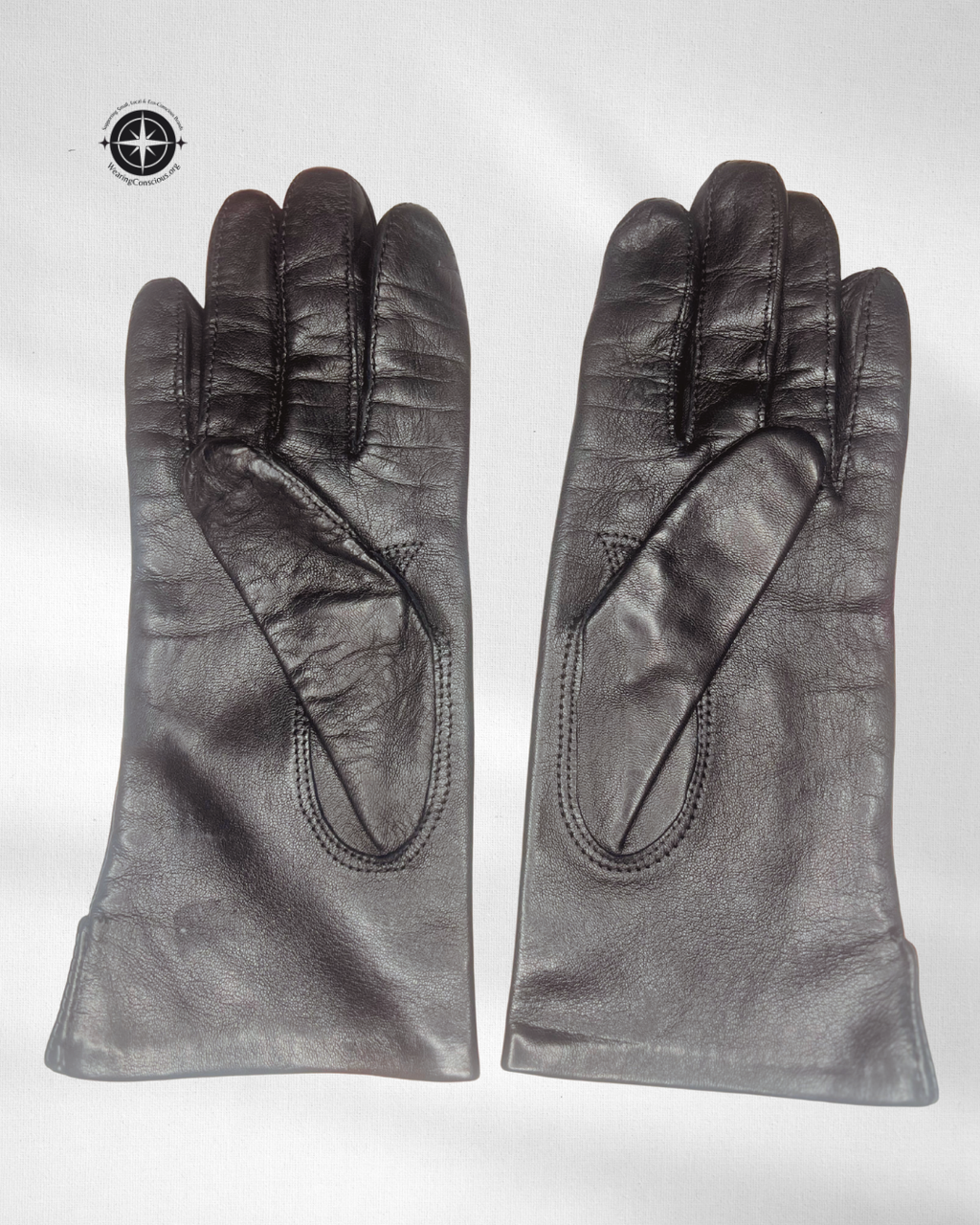 A pair of black leather gloves laid flat on a light gray background, featuring classic hand-stitched detailing and a compass logo in the top-left corner.