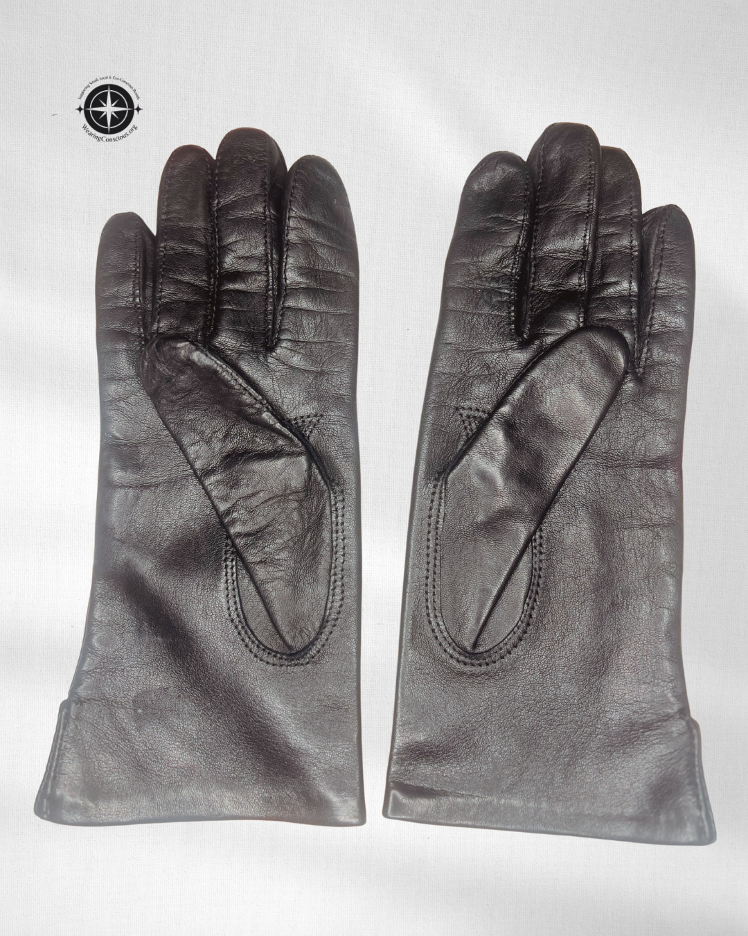 A pair of black leather gloves laid flat on a light gray background, featuring classic hand-stitched detailing and a compass logo in the top-left corner.