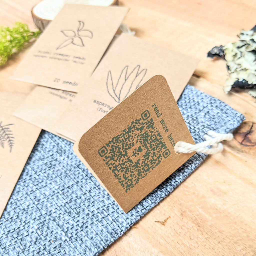 "Asparagus Fern" Houseplant Seed Collection