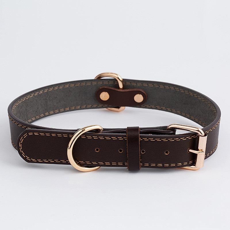 Rugged Leather Dog Collar-1