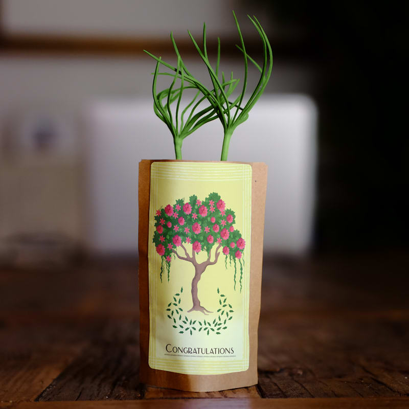 Congratulations Flowering Tree-0