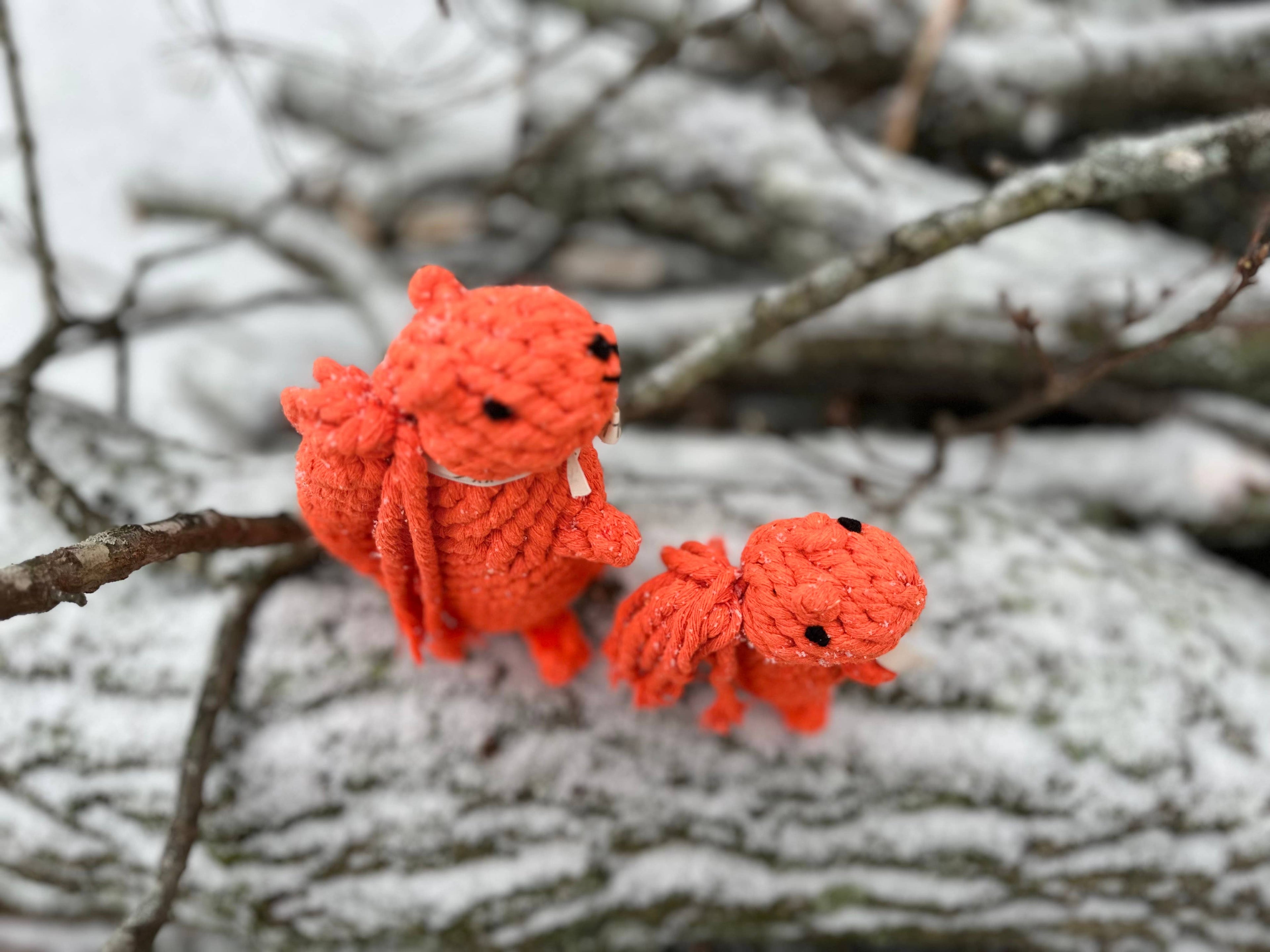 Monli Handcrafted Oliver the Squirrel Rope Dog + Cat Toy