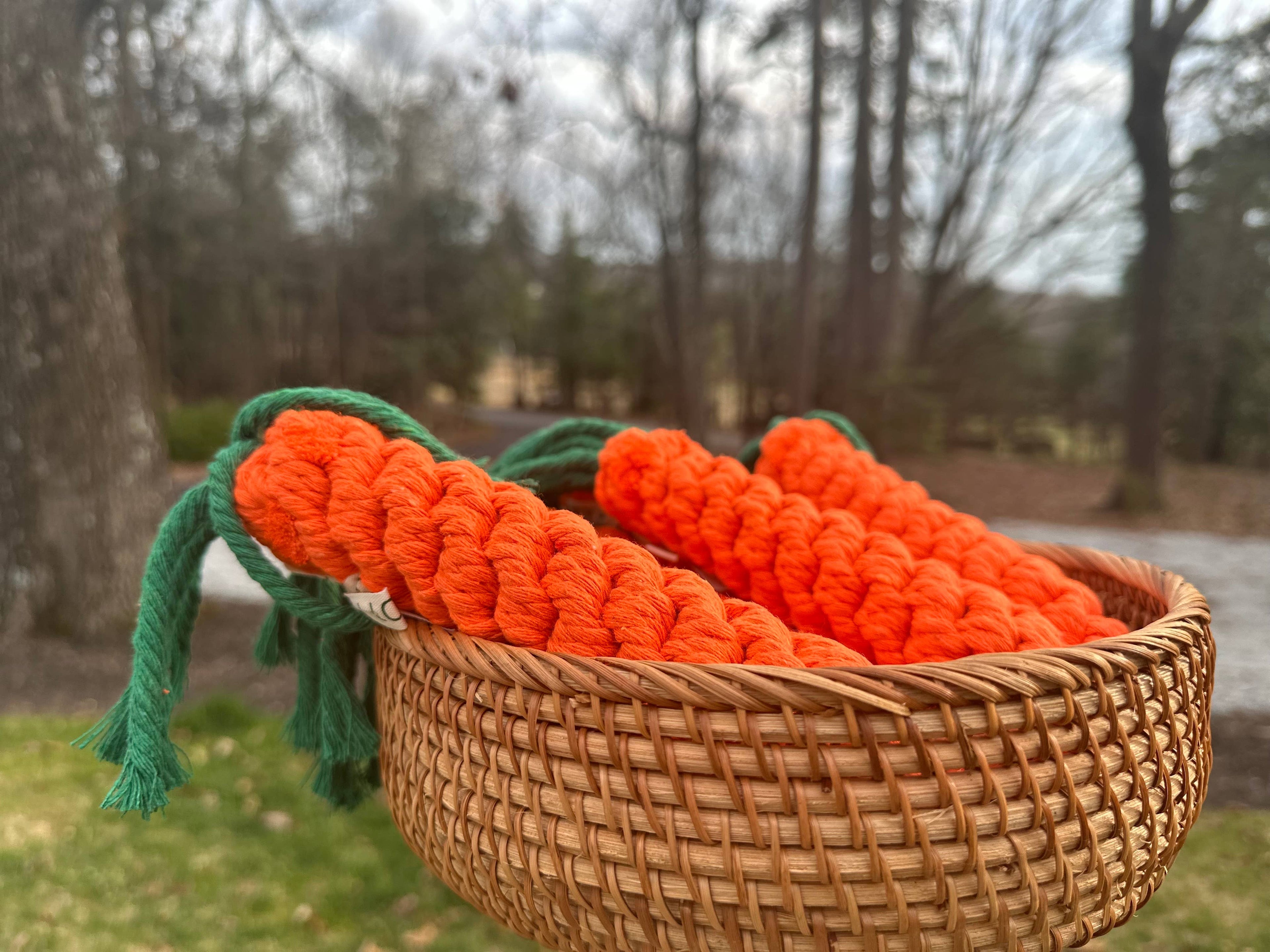 Monli Handcrafted Sustainable Carrot Dog Rope Toy