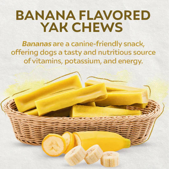 Yak Dog Chew Pack – 6 Flavor-Infused Sticks