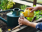 The ARBER Organic Bio Insecticide