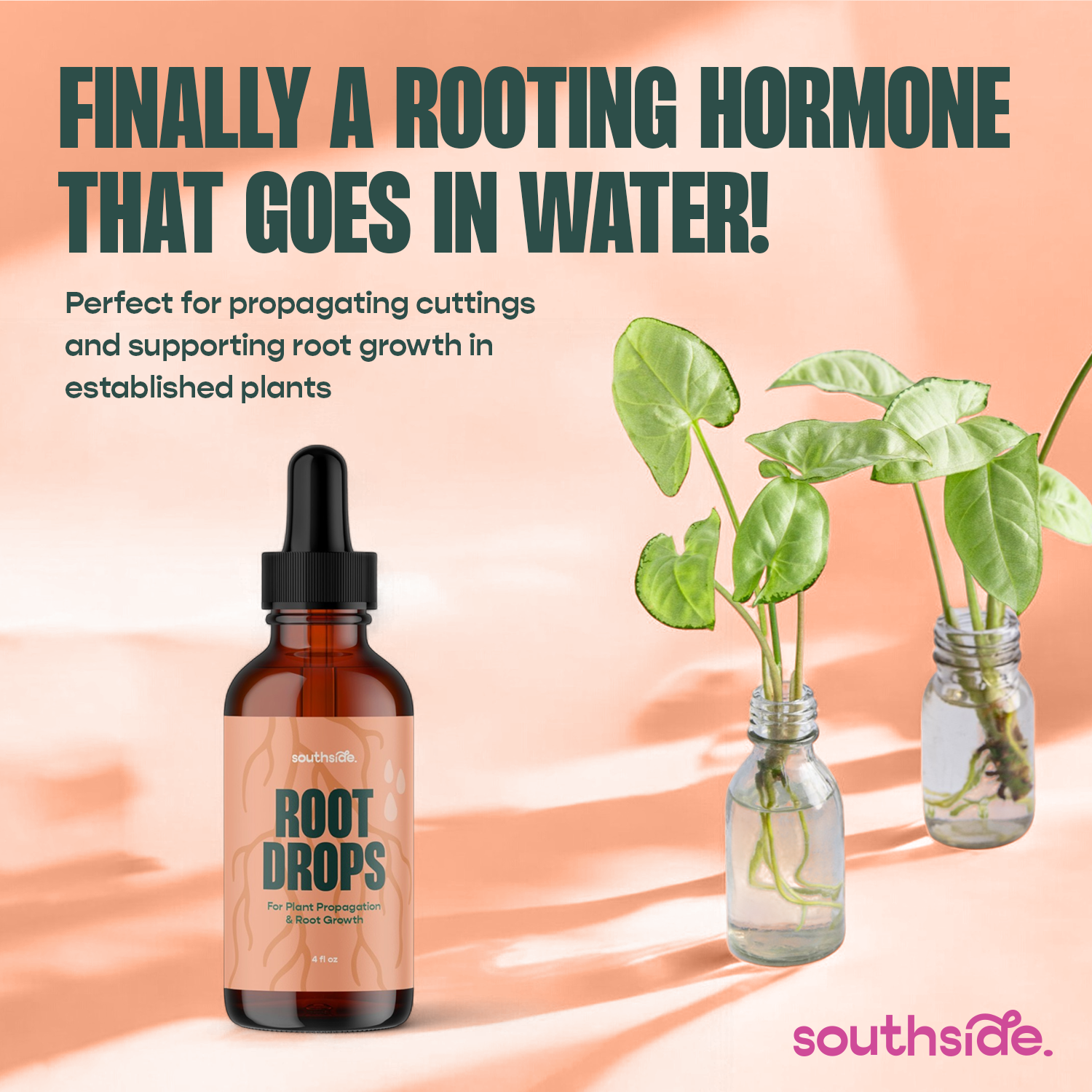 Root Drops - For Propagations & Repotting