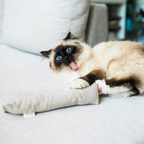 Boba & Vespa Hemp Kicker Toy for Dogs, Cats, Bunnies