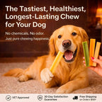 Strawberry Himalayan Yak Chews Long-Lasting Natural Dog Chew