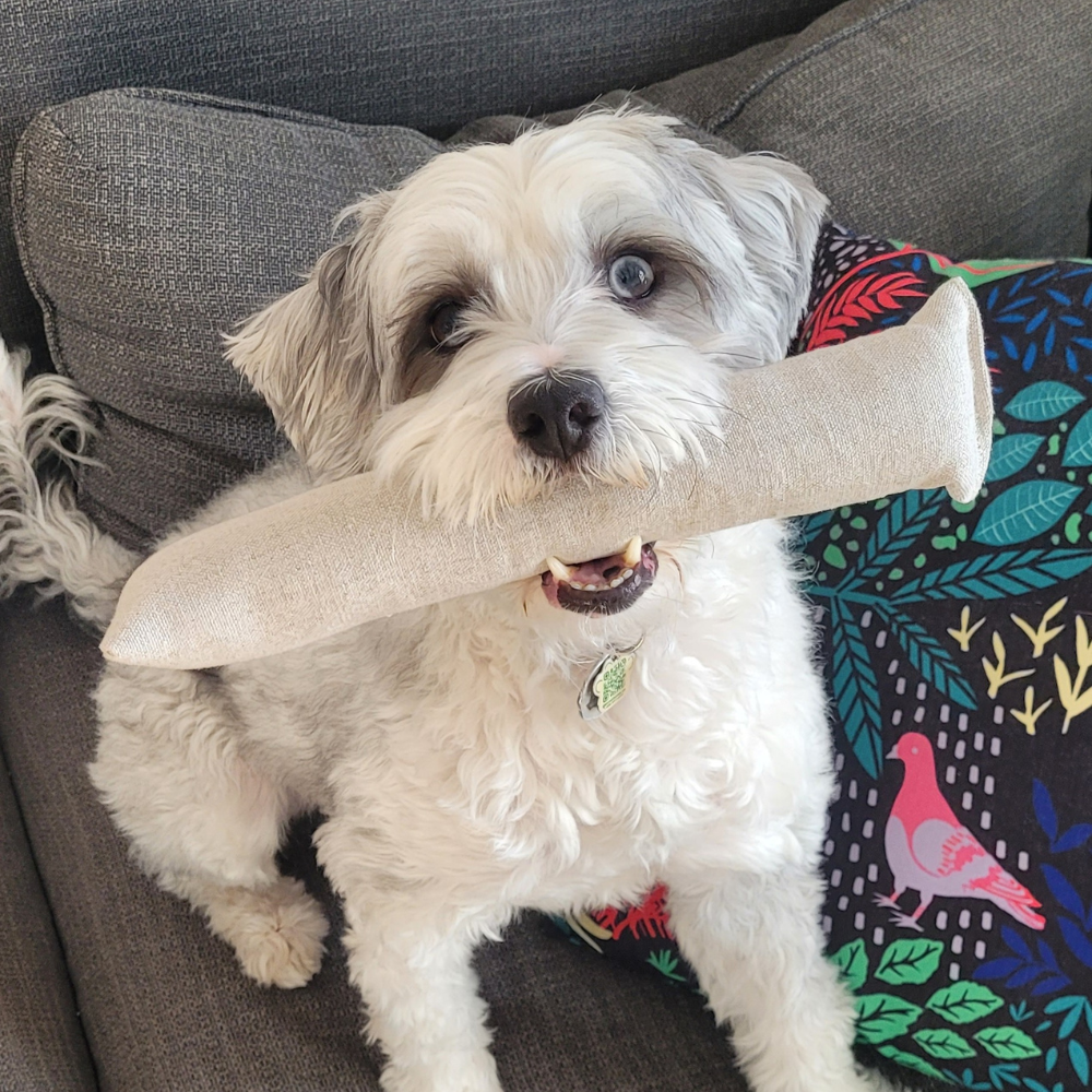 Boba & Vespa Hemp Kicker Toy for Dogs, Cats, Bunnies