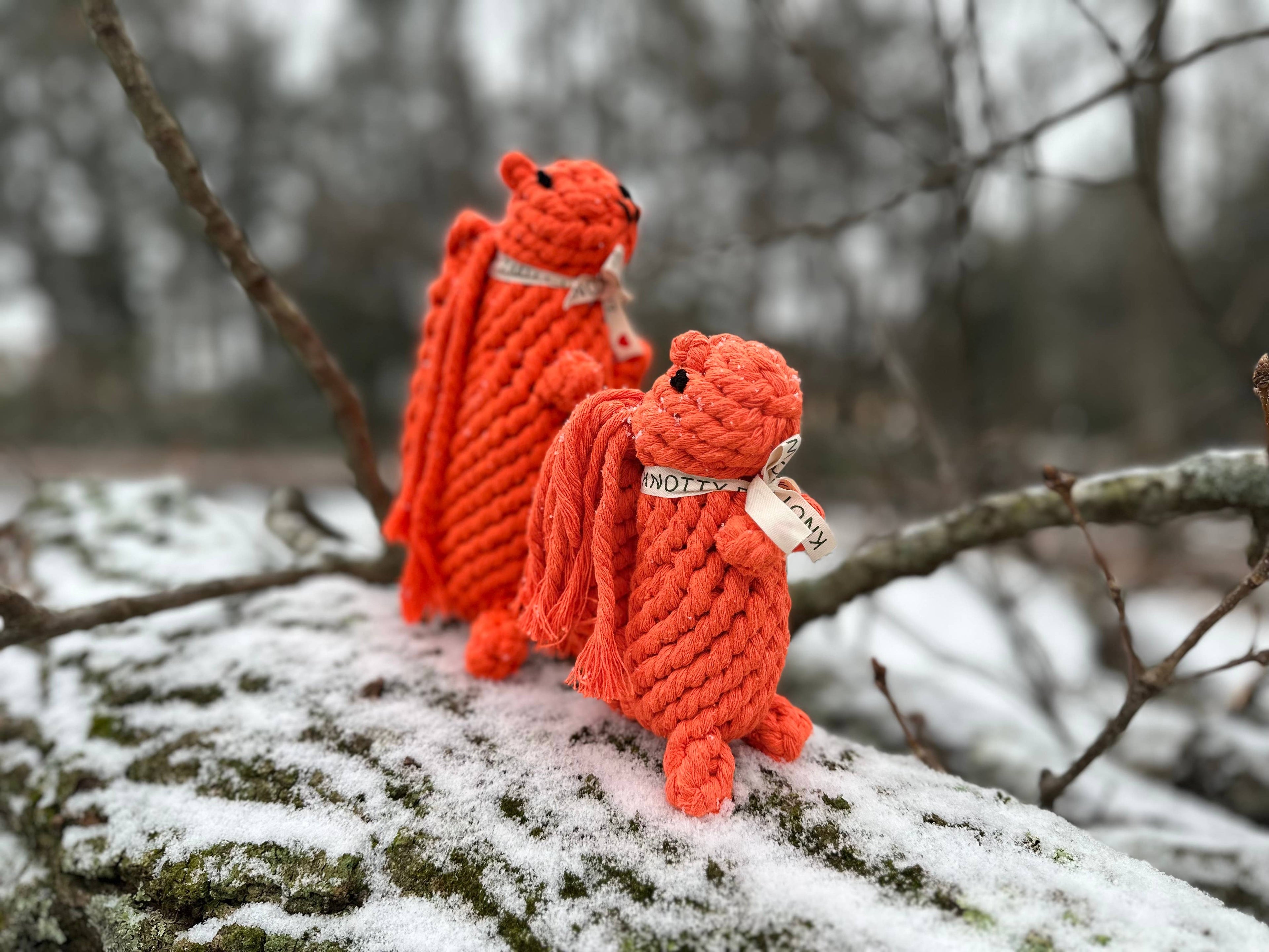 Monli Handcrafted Oliver the Squirrel Rope Dog + Cat Toy