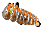 EUGY Clownfish 3D Puzzle-2
