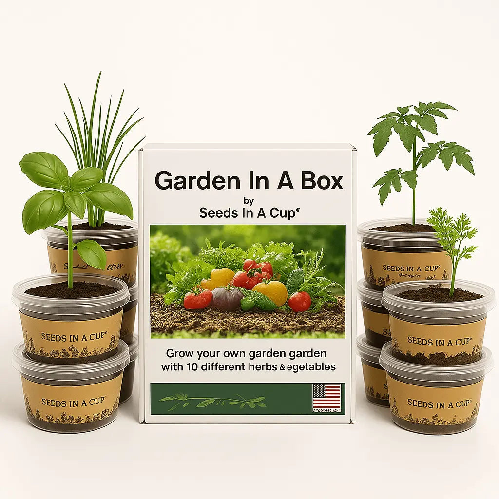 box garden seeds Seeds In A Cup®: Entire Garden in a Box- Choose 5 Pack! – Wearing Conscious