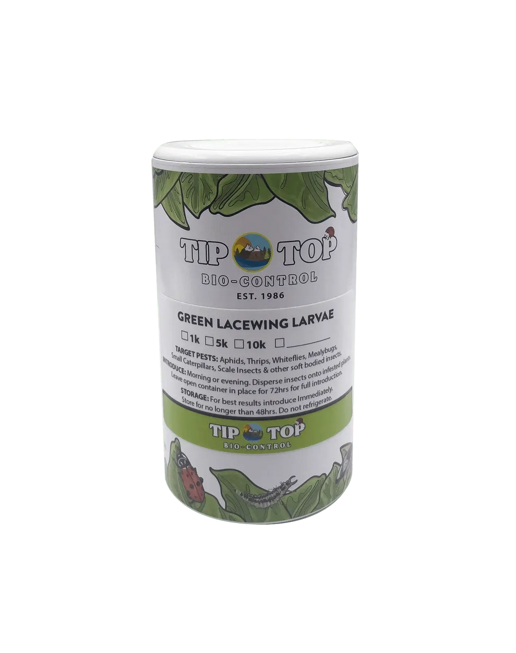 Green Lacewing Larvae