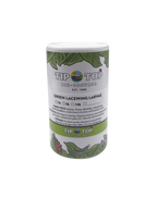 Green Lacewing Larvae