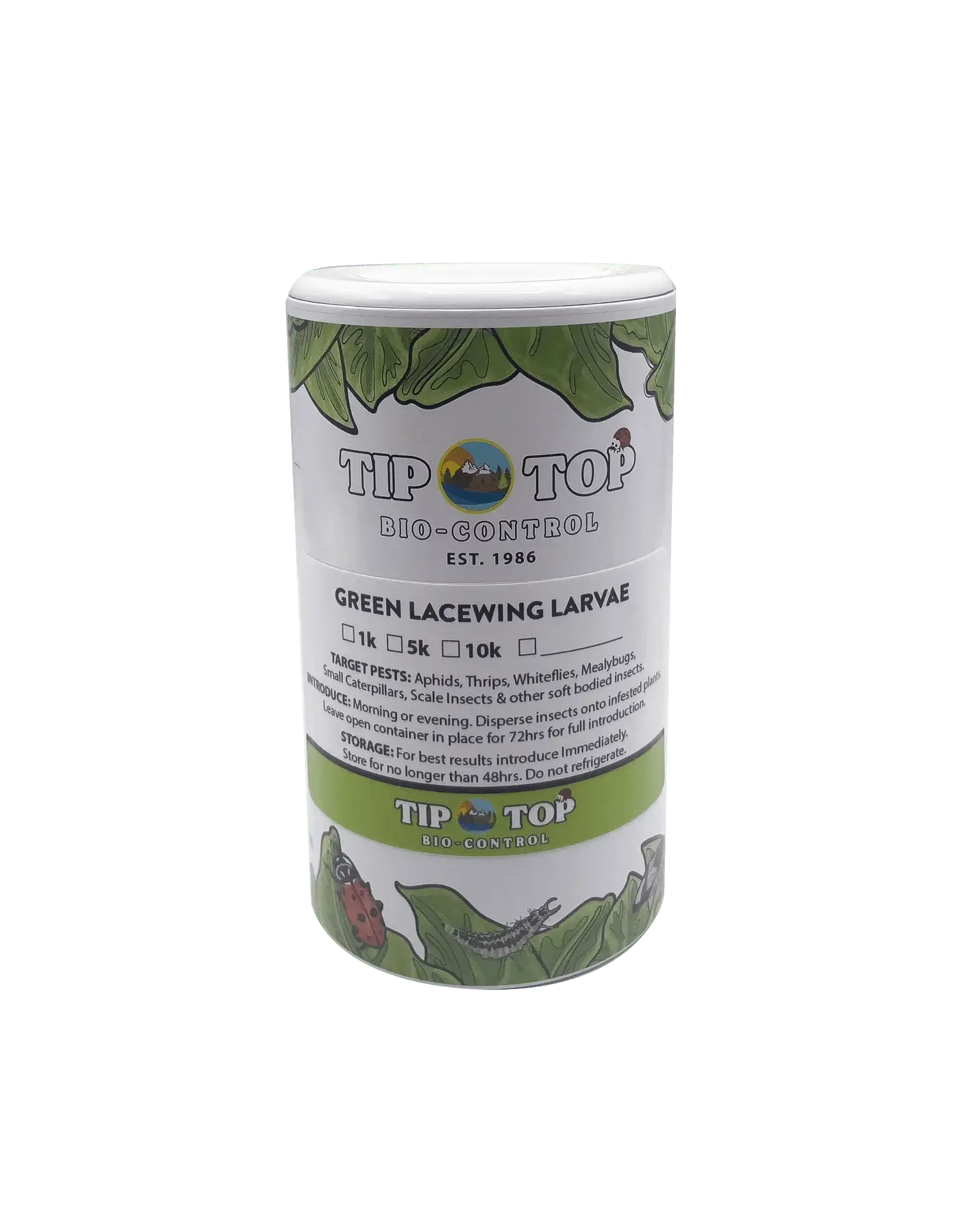 Green Lacewing Larvae