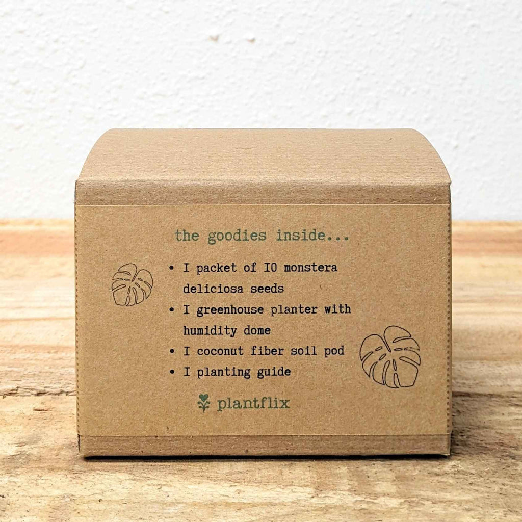Grow a Monstera Seed Kit