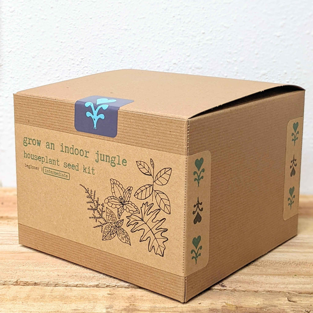 "Grow an Indoor Jungle" Houseplant Seed Kit