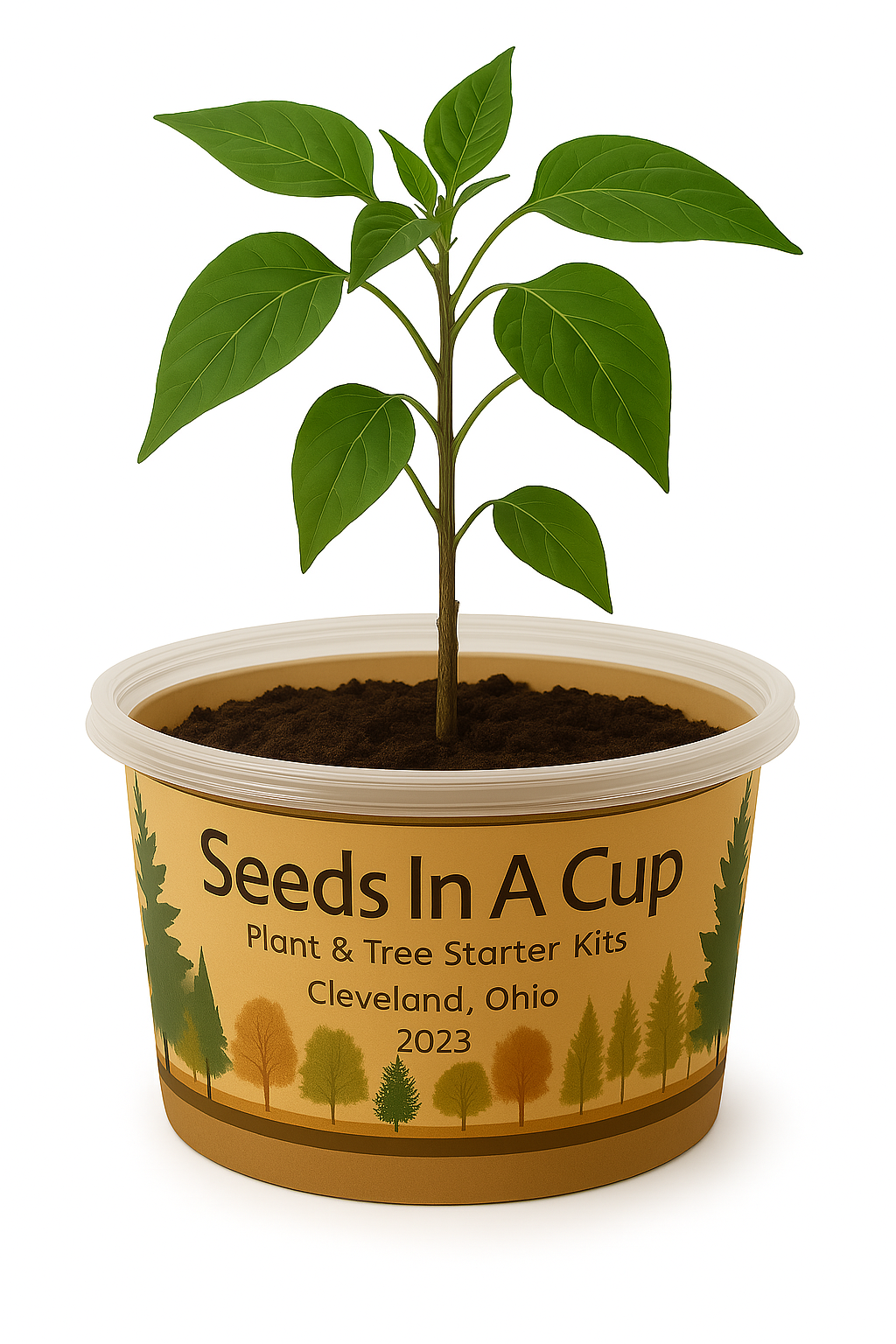 Plant in a container labeled 'Seeds In A Cup' on a white background