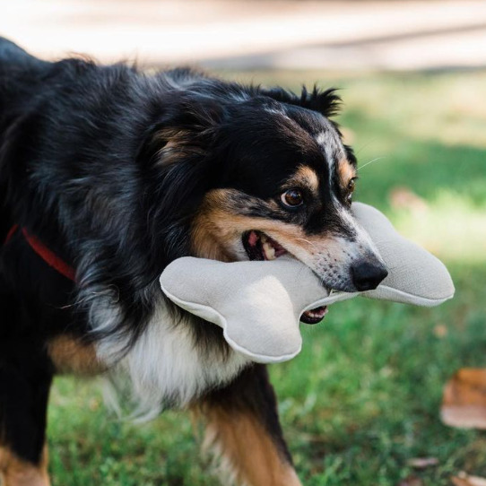 Boba & Vespa Soft Plush Hemp Dog Bone Toy for Gentle Chewers – Squeaker Free