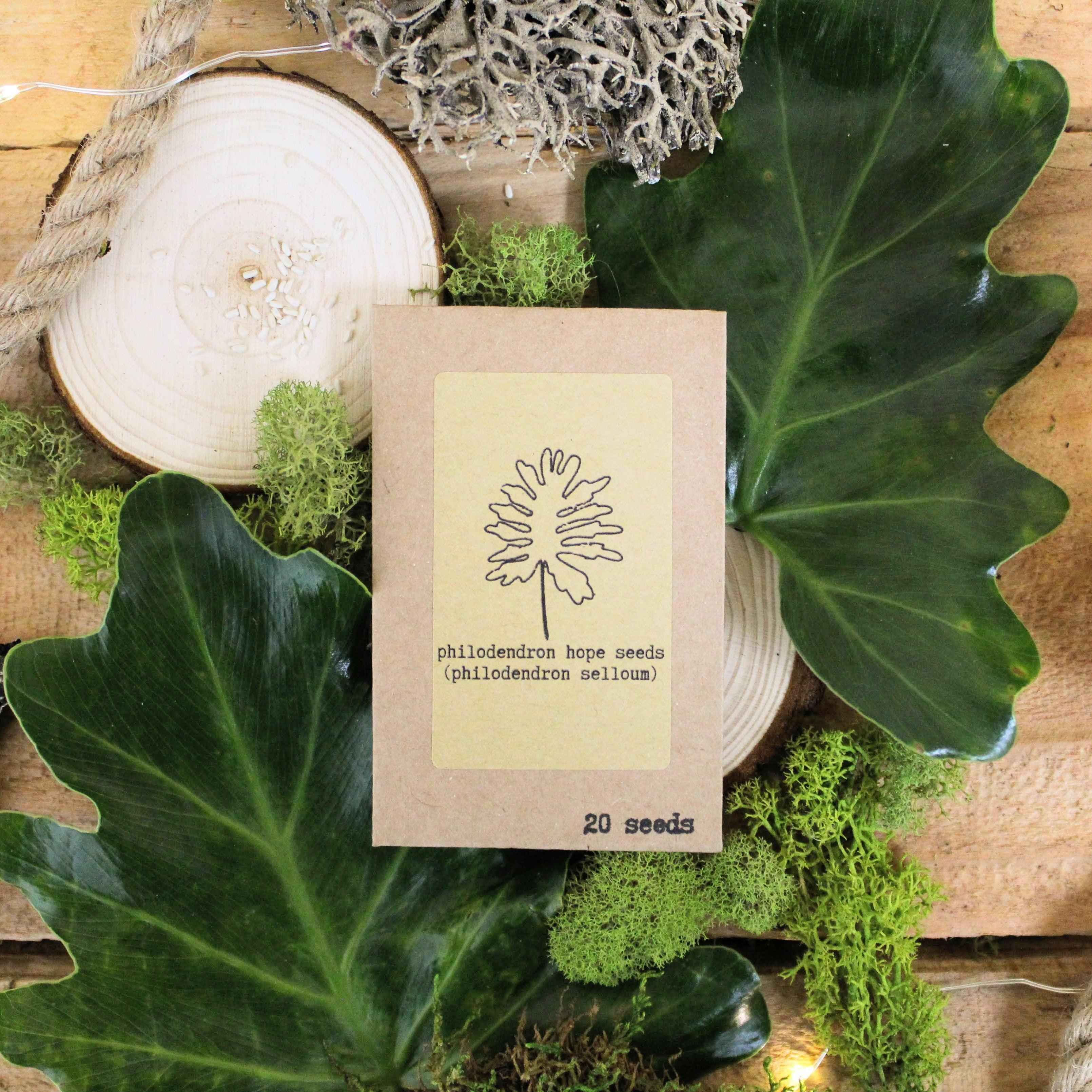 "Houseplant Buff" Houseplant Seed Collection