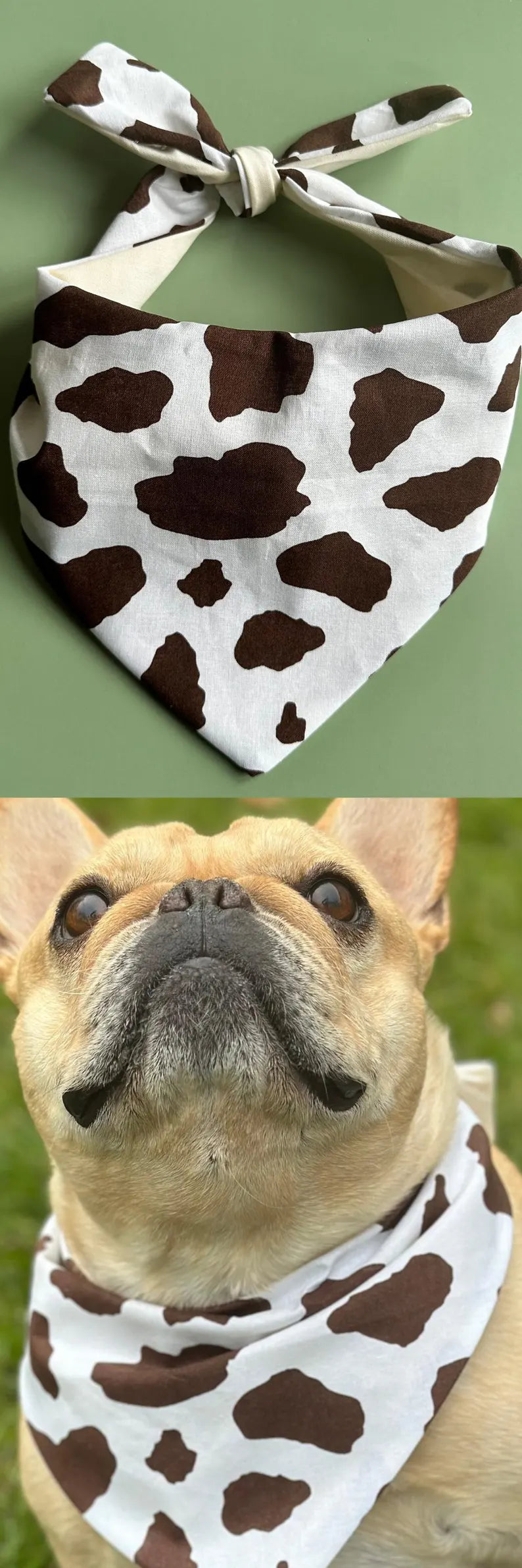 Cow Print Dog Bandana – Personalization Available!