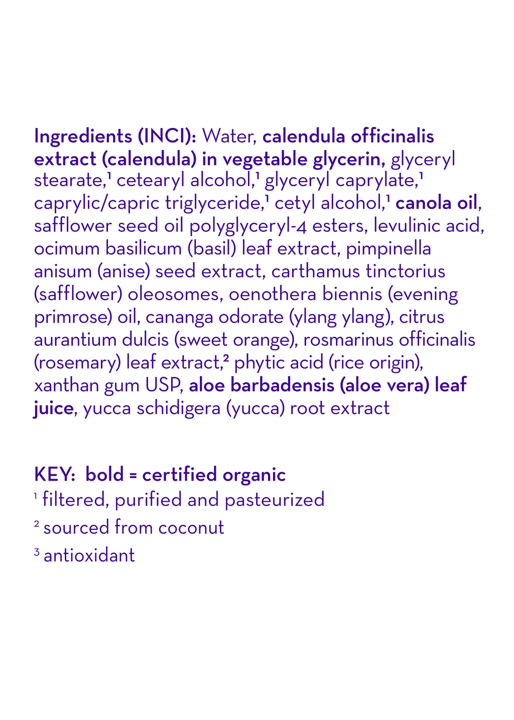 I Love You™ Everyday Lotion