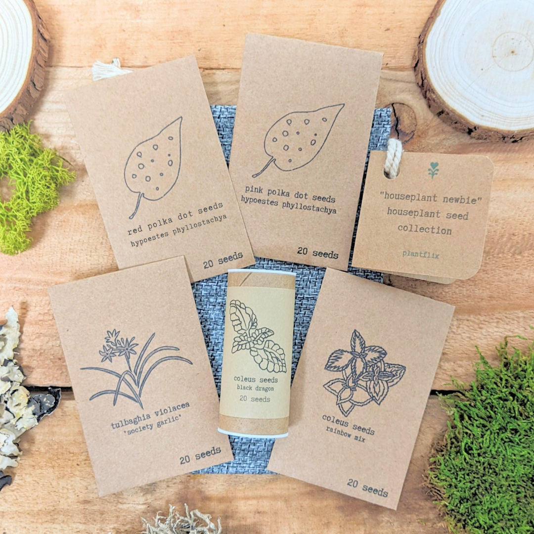 "Houseplant Newbie" Houseplant Seed Collection