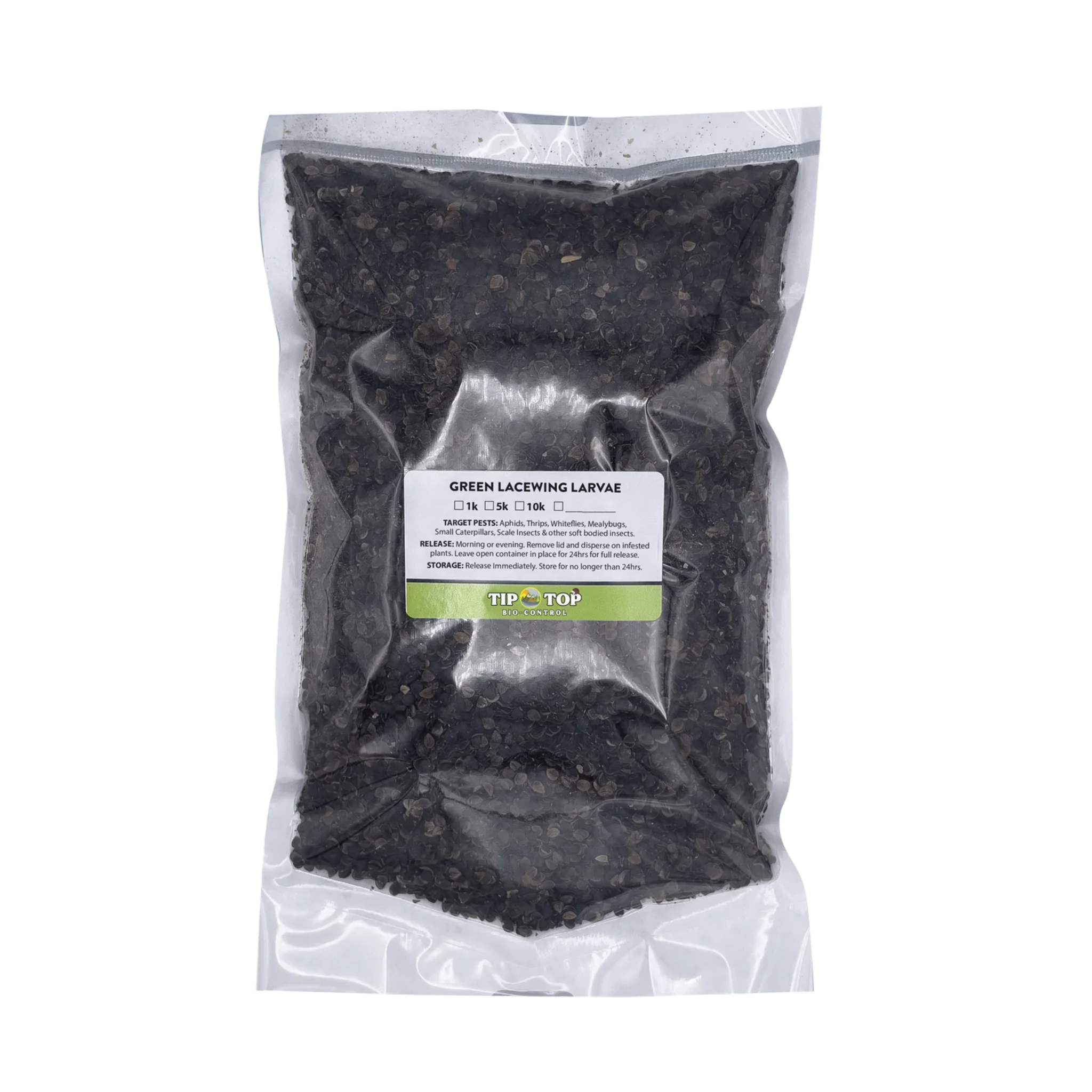 Green Lacewing Larvae