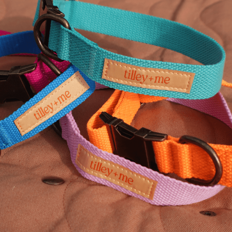 Hemp Cotton Dog Collar - Durable, Sustainable, Adjustable, Lightweight & Soft