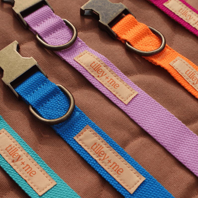 Hemp Cotton Dog Collar - Durable, Sustainable, Adjustable, Lightweight & Soft