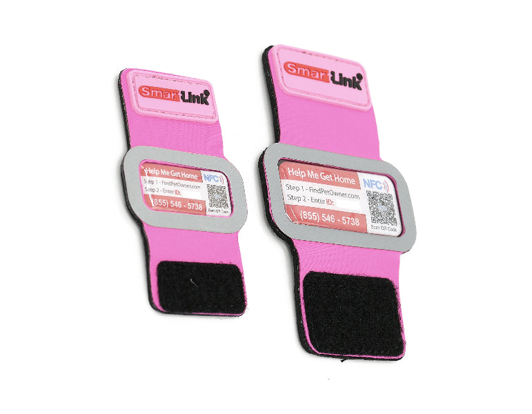 The SmartLink ID Band – Reunite Pets + Owners