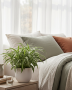 Cozy bedroom with a bed, plant, and side table.