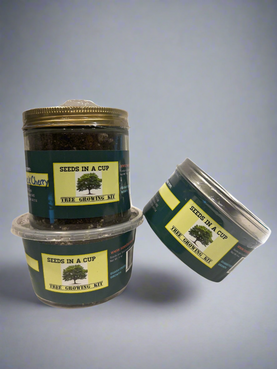 Seeds In A Cup® Black Cherry Tree Seed Starter Grow Kit