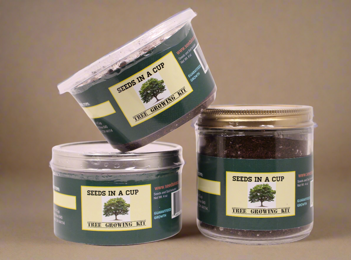 Seeds In A Cup® Black Cherry Tree Seed Starter Grow Kit