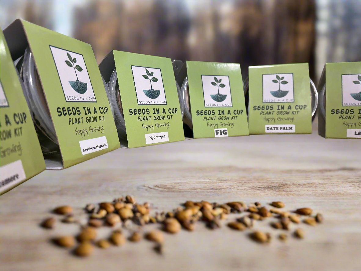Seeds In A Cup® Cedar Tree Seed Starter Grow Kit