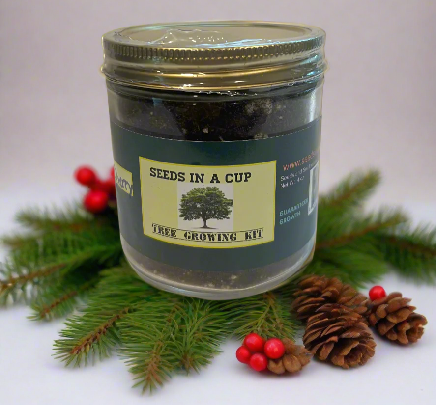 Seeds In A Cup® Apricot Tree Seed Starter Grow Kit