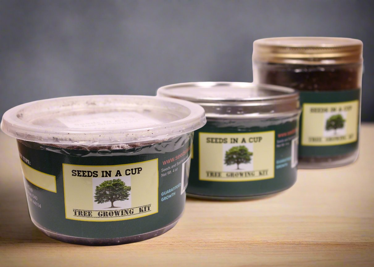 Seeds In A Cup® Apricot Tree Seed Starter Grow Kit