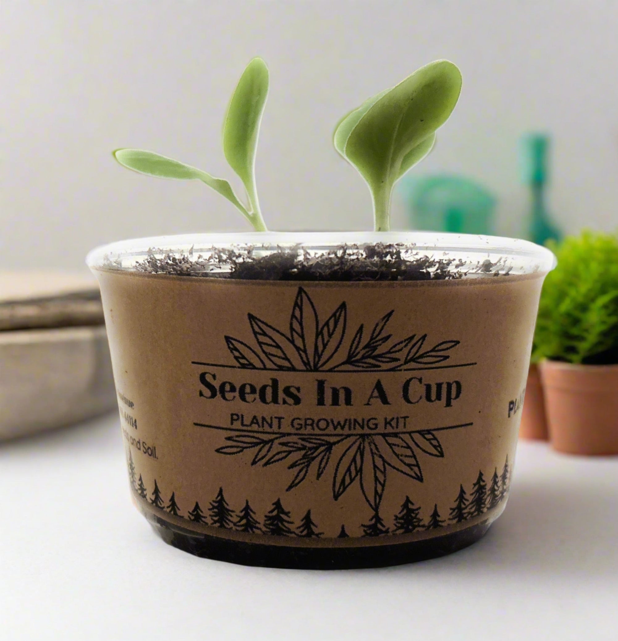 Seeds In A Cup® Black Cherry Tree Seed Starter Grow Kit