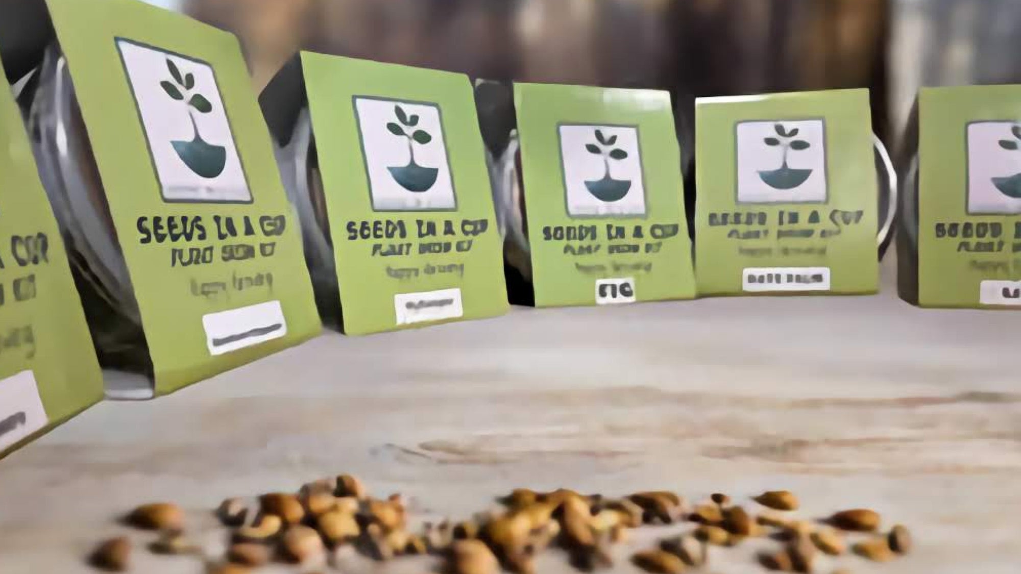 Seeds In A Cup® Apricot Tree Seed Starter Grow Kit