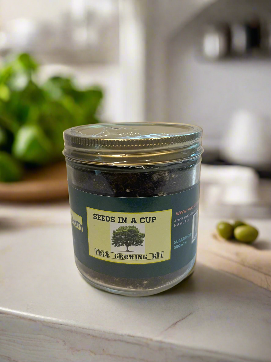 Seeds In A Cup® American Elm Tree Seed Starter Grow Kit