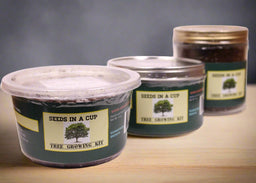 Seeds In A Cup® Apricot Tree Seed Starter Grow Kit
