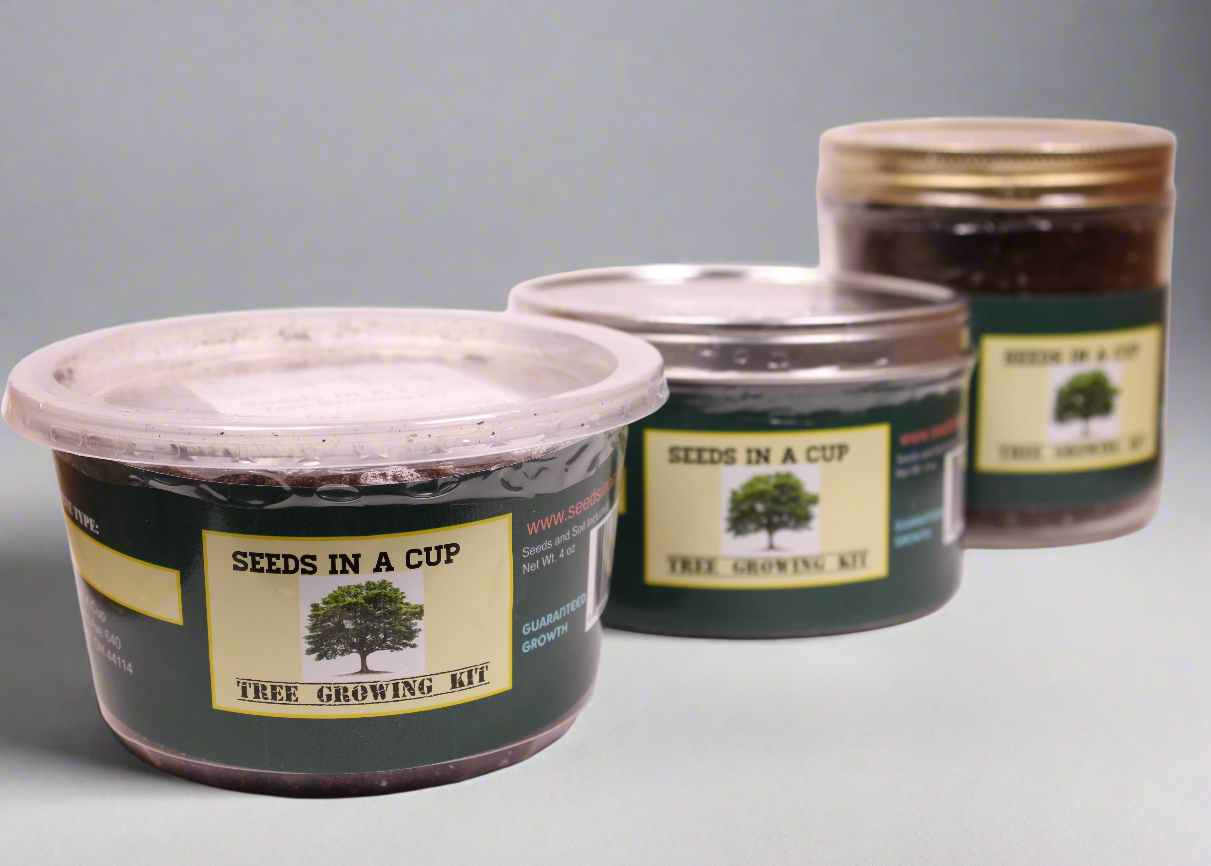 Seeds In A Cup® Black Cherry Tree Seed Starter Grow Kit