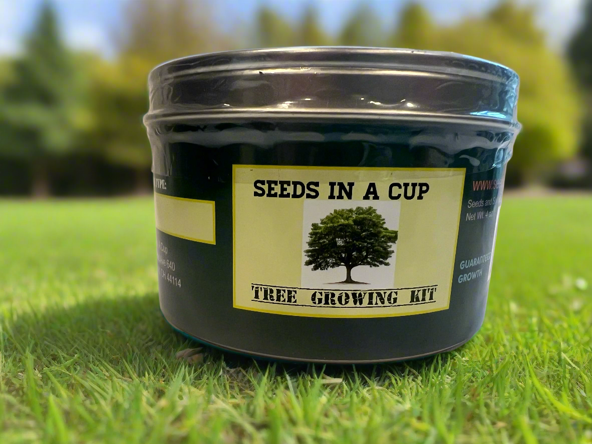 Seeds In A Cup® Apple Tree Seed Starter Grow Kit