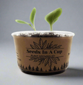 Seeds In A Cup® American Elm Tree Seed Starter Grow Kit