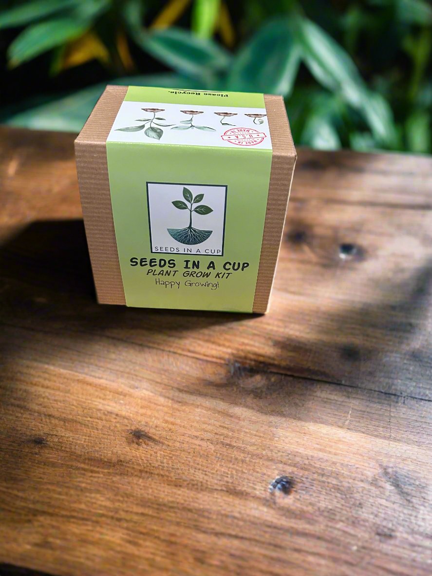 Seeds In A Cup® Black Cherry Tree Seed Starter Grow Kit